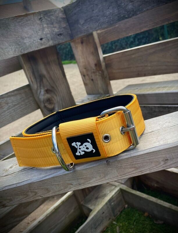 Halsband met gesp Sunshine Yellow L