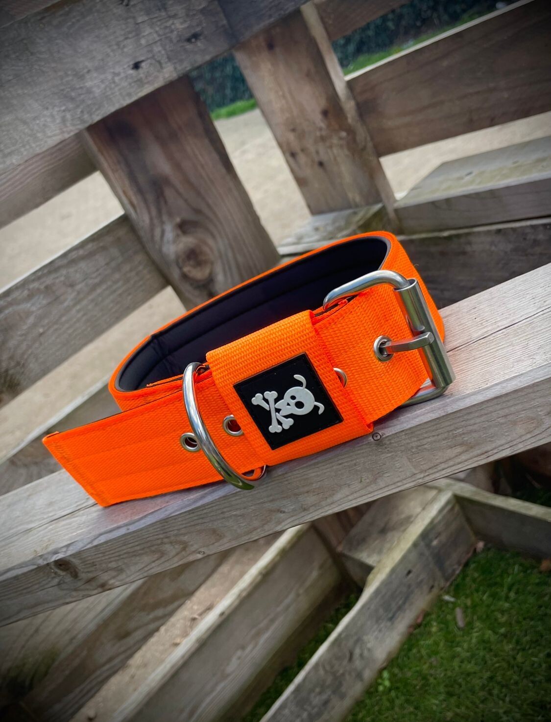 Halsband met gesp Neon Orange  L