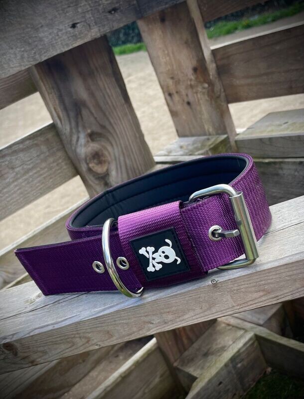 Halsband met gesp Purple Rain  L