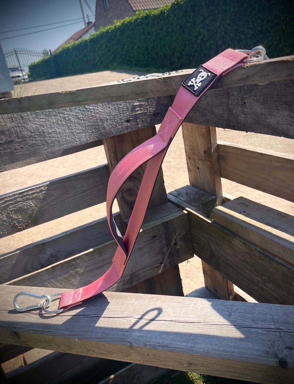 Skull Gear Jogger Baby Pink