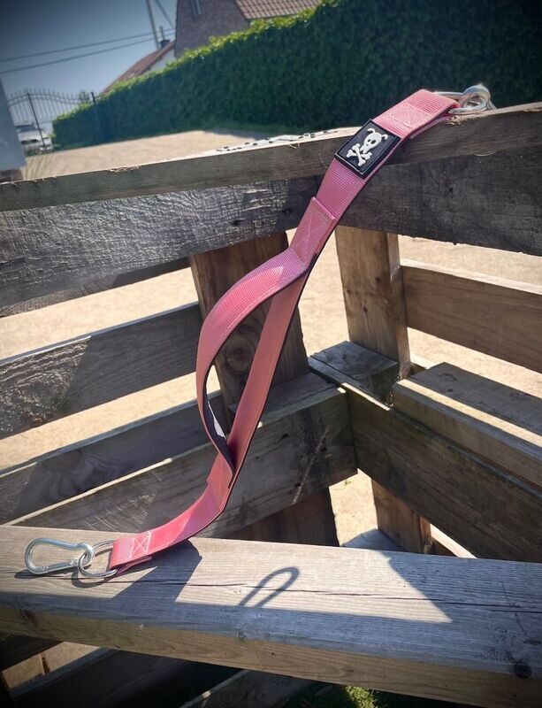 Skull Gear Jogger Baby Pink