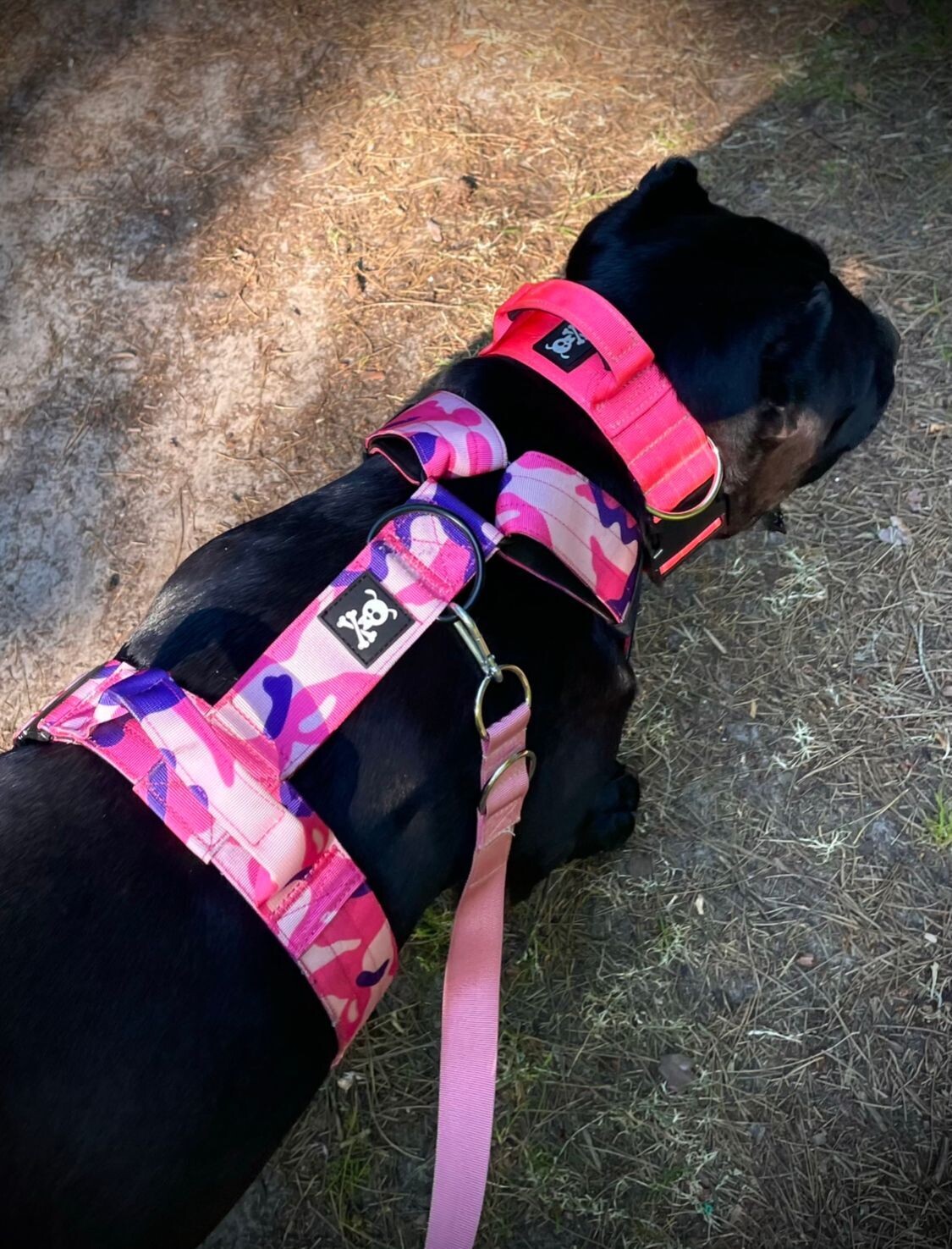 !SALE! Harnas Pink Camo maat M