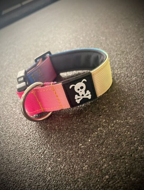 Halsband Graffiti maat M