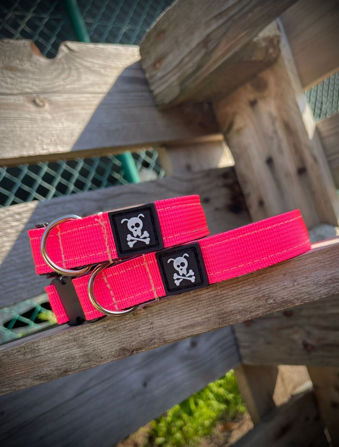Halsband Neon Pink maat XS