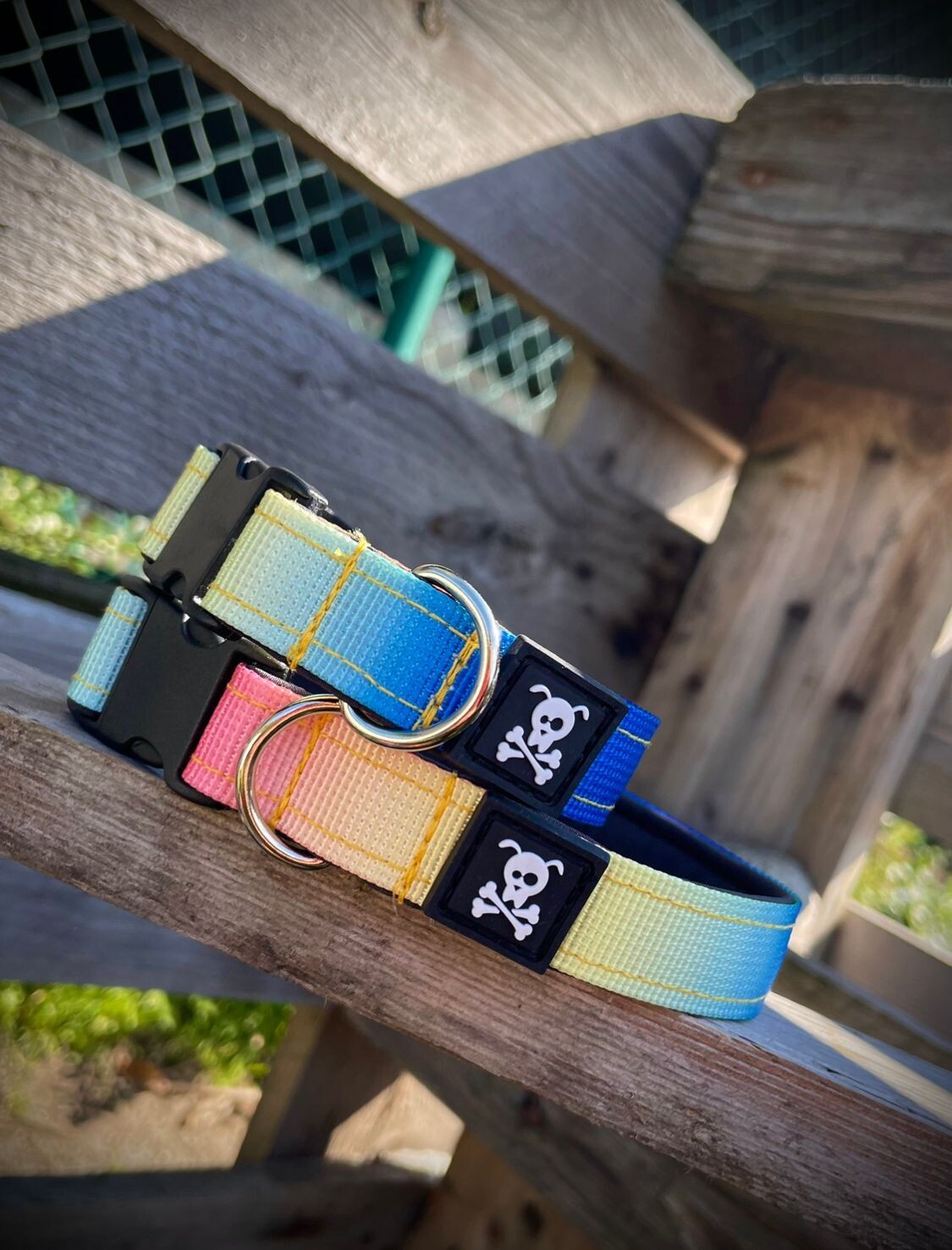 Halsband Graffiti maat S