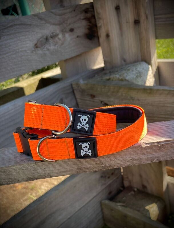 Halsband Neon Orange maat XS