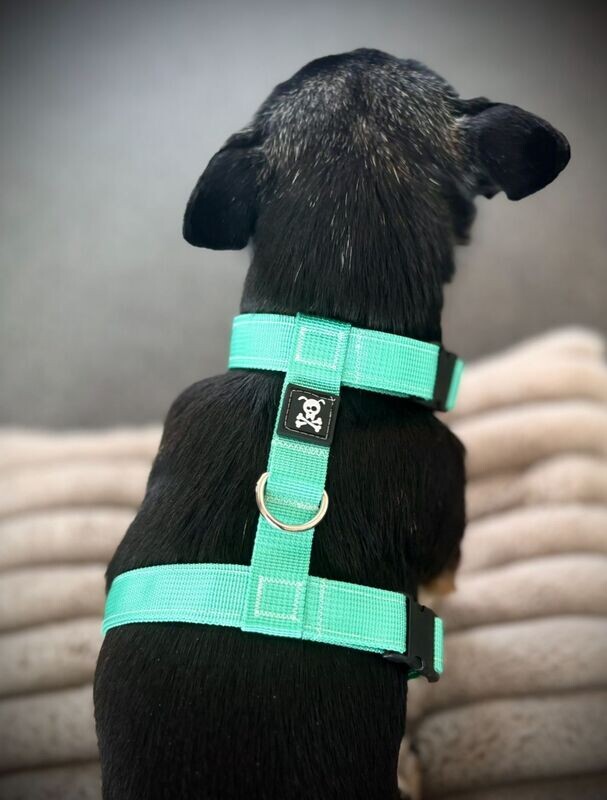 H-Harnas S Minty Green