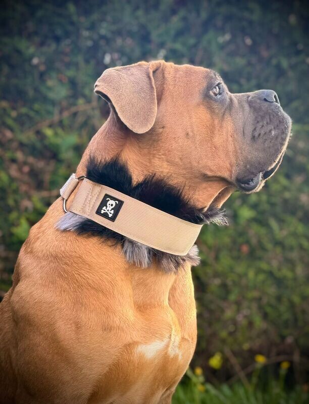Sliphalsband Deluxe Très Chique Beige XXL
