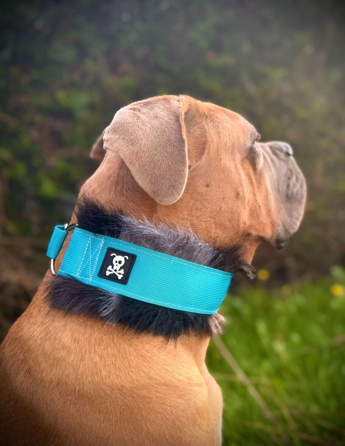 Sliphalsband Deluxe Ocean Blue XXL