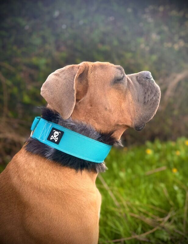 Sliphalsband Deluxe Ocean Blue M
