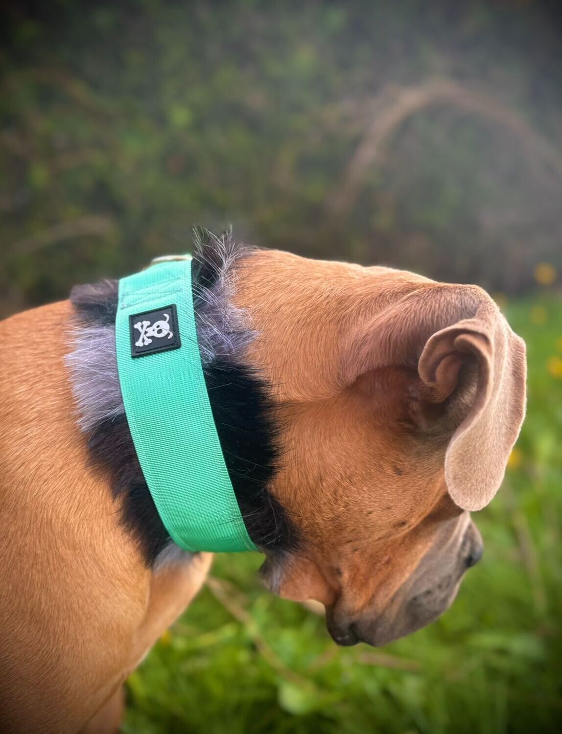 Sliphalsband Deluxe Minty Green L