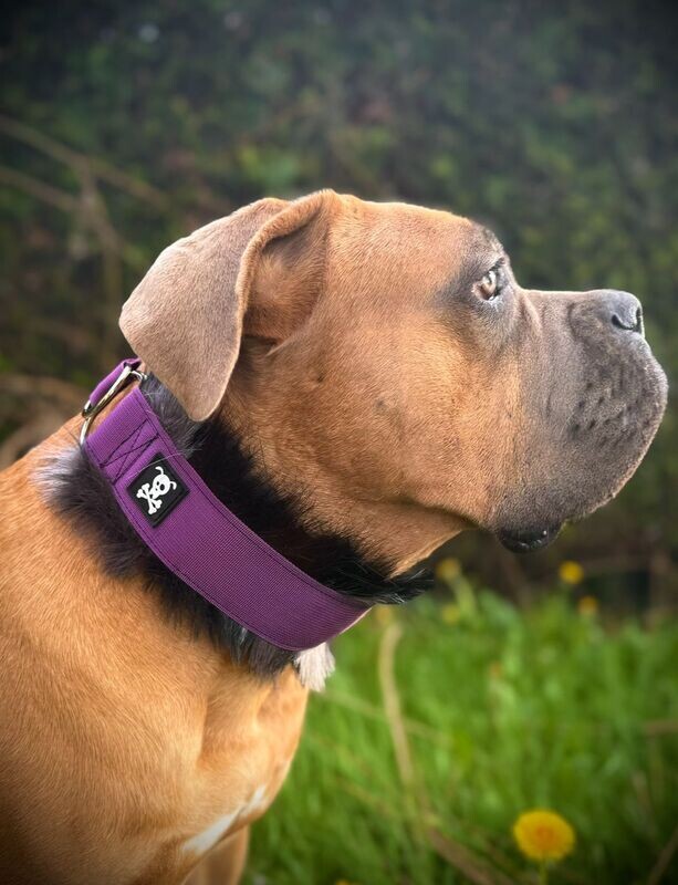 Sliphalsband Deluxe Purple Rain XXL
