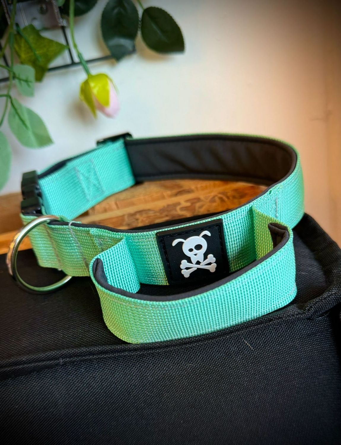 Halsband met handvat Minty Green M