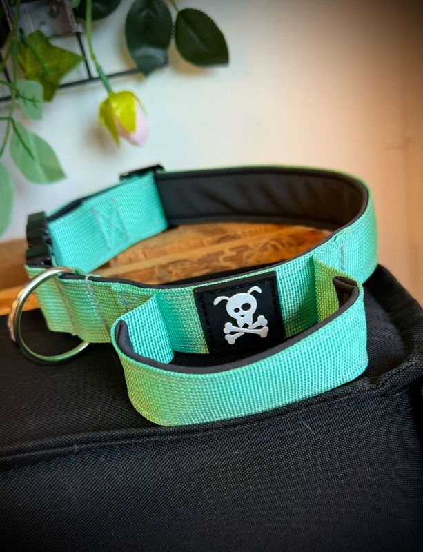 Halsband met handvat Minty Green M