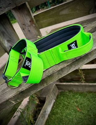 Neon Green