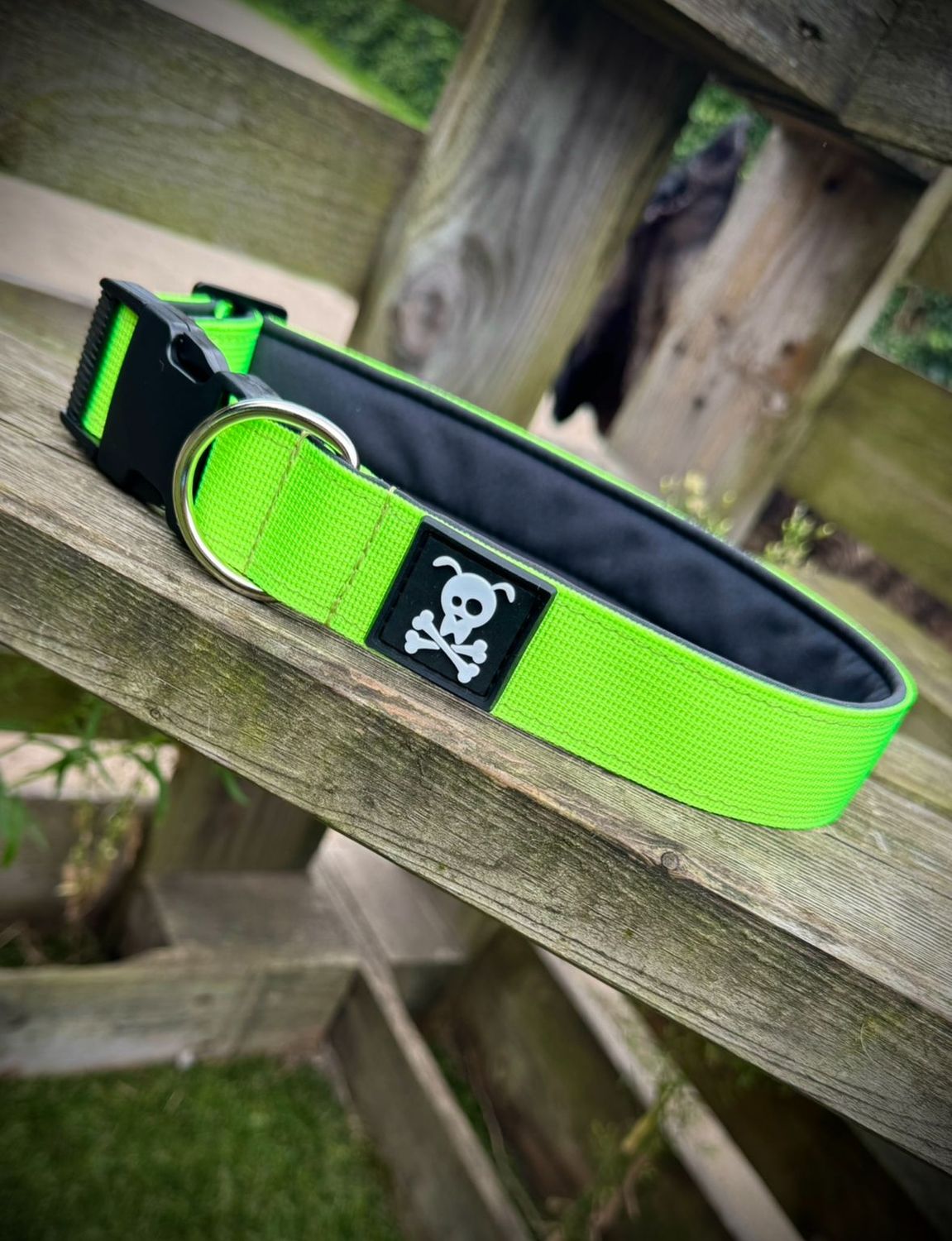 Halsband Neon Green maat M