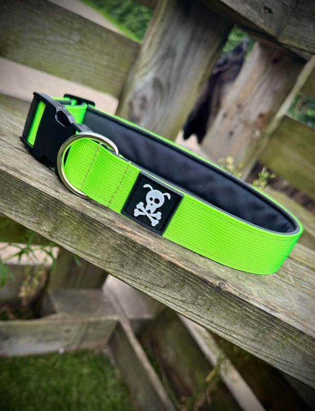 Halsband Neon Green maat M