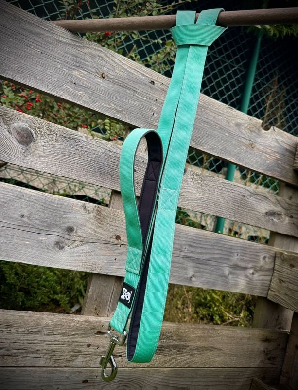 Standaardlijn met extra handvat Minty Green!Nieuw met meedraaiende musketon!