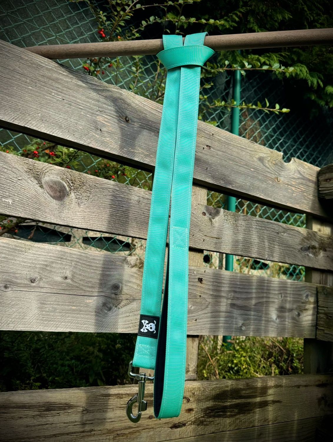 Standaardlijn Minty Green!Nieuw met meedraaiende musketon!