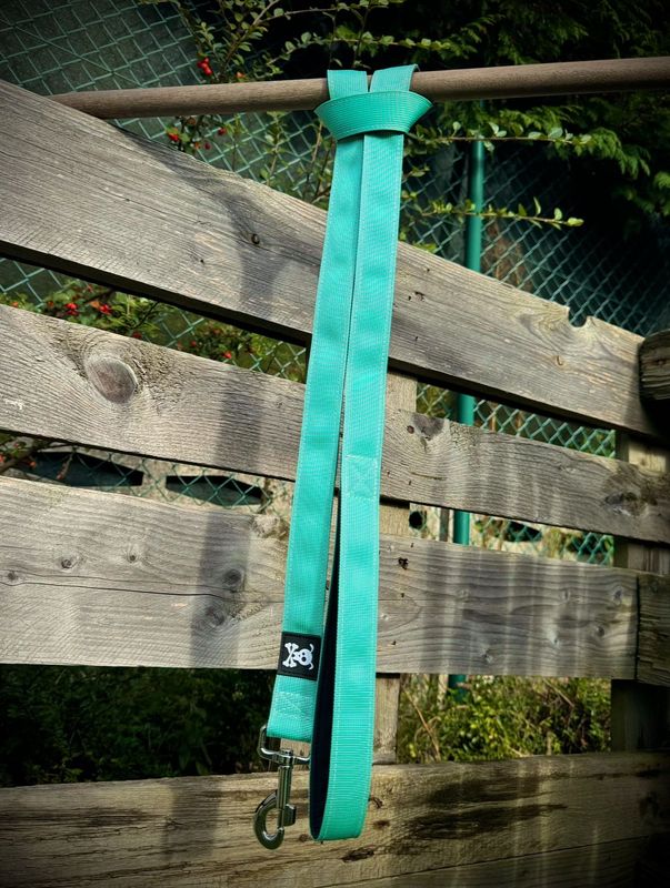 Standaardlijn Minty Green!Nieuw met meedraaiende musketon!
