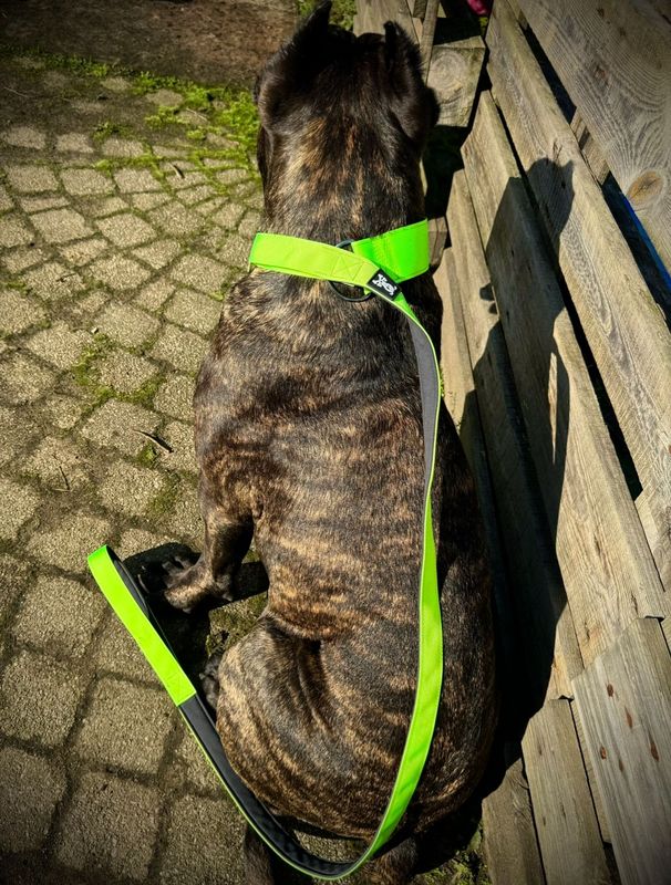 Sliplijn Neon Green maat L