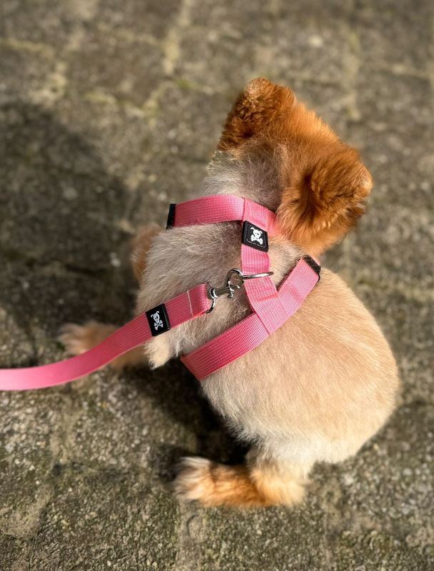 Puppypakket S Babypink