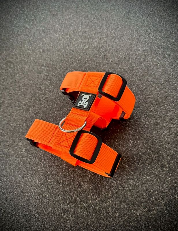 Puppypakket L/XL Neon Orange