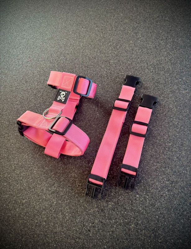 Puppypakket L/XL Baby Pink