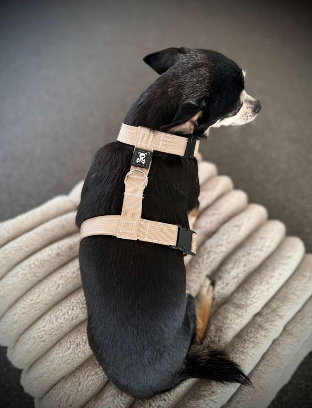 Puppypakket S Très Chique Beige