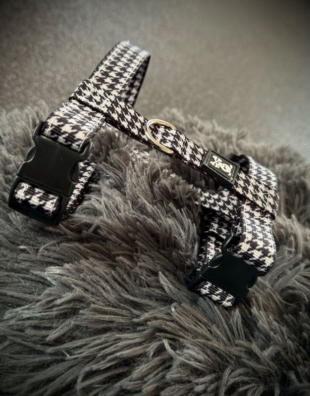 Puppypakket S Pied de Poule