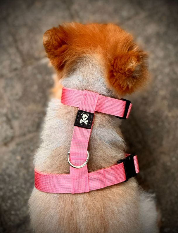Puppypakket M Baby Pink