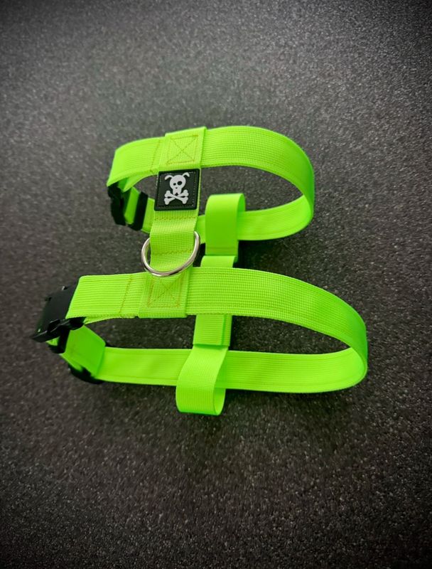 Puppypakket L/XL Neon Green