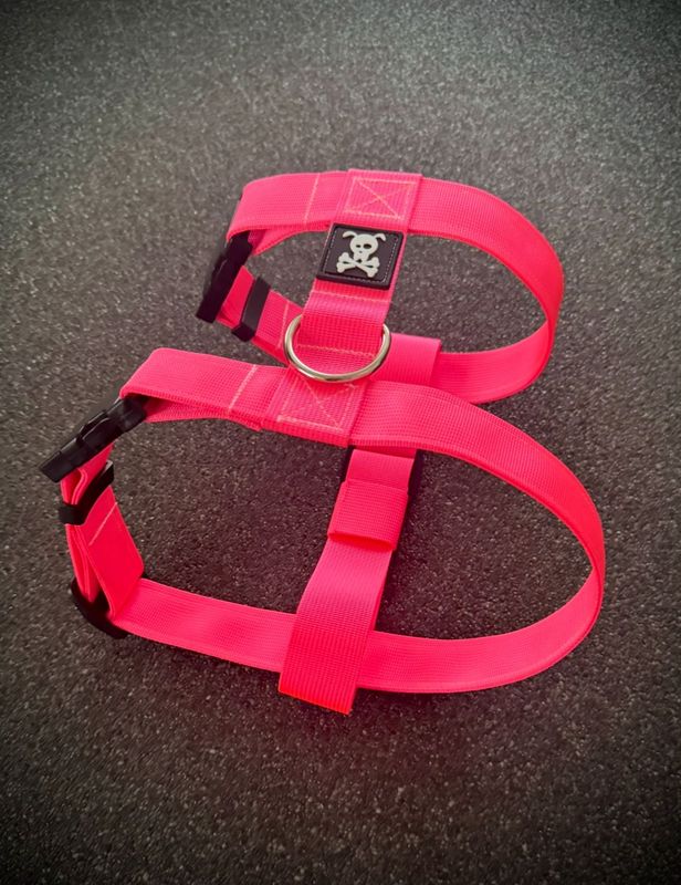 Puppypakket L/XL Neon Pink