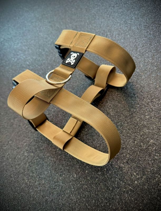 H-tuigje M Olive Gold