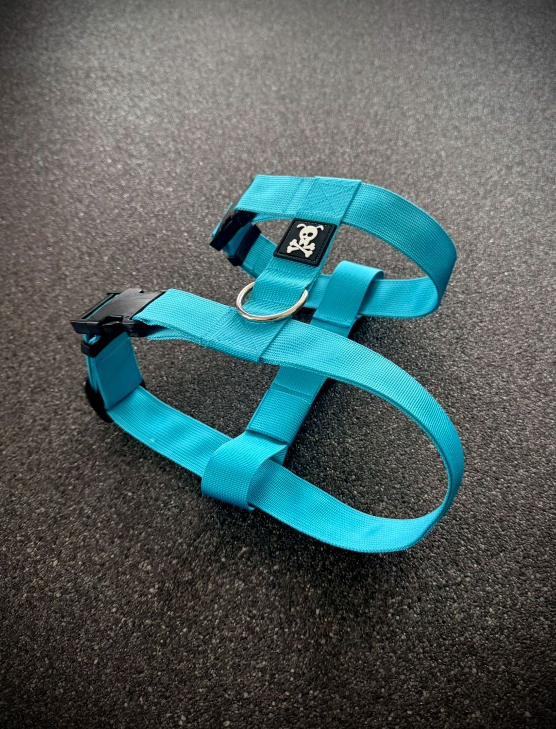 Puppypakket L/XL Ocean Blue