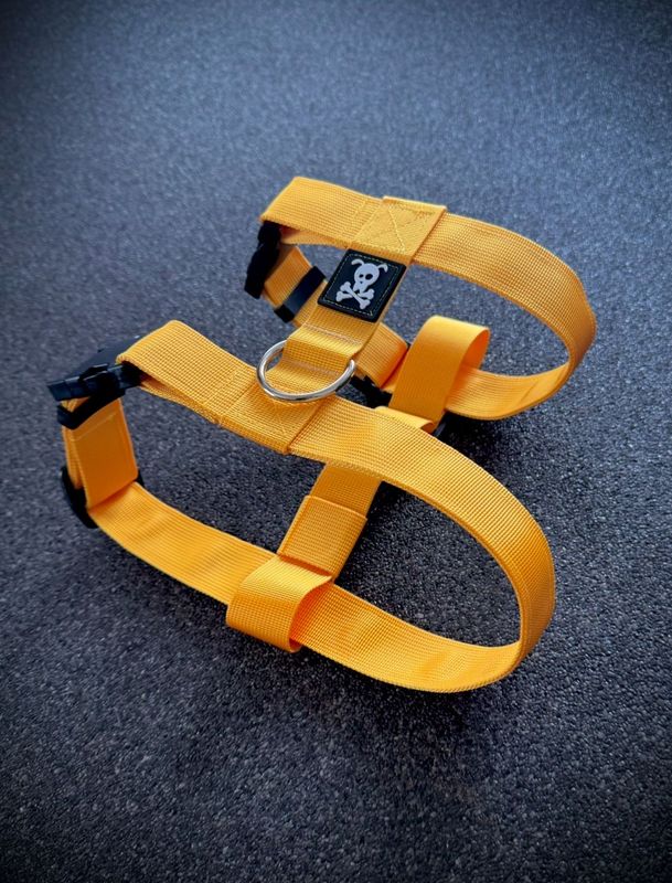 Puppypakket L/XL Sunshine Yellow
