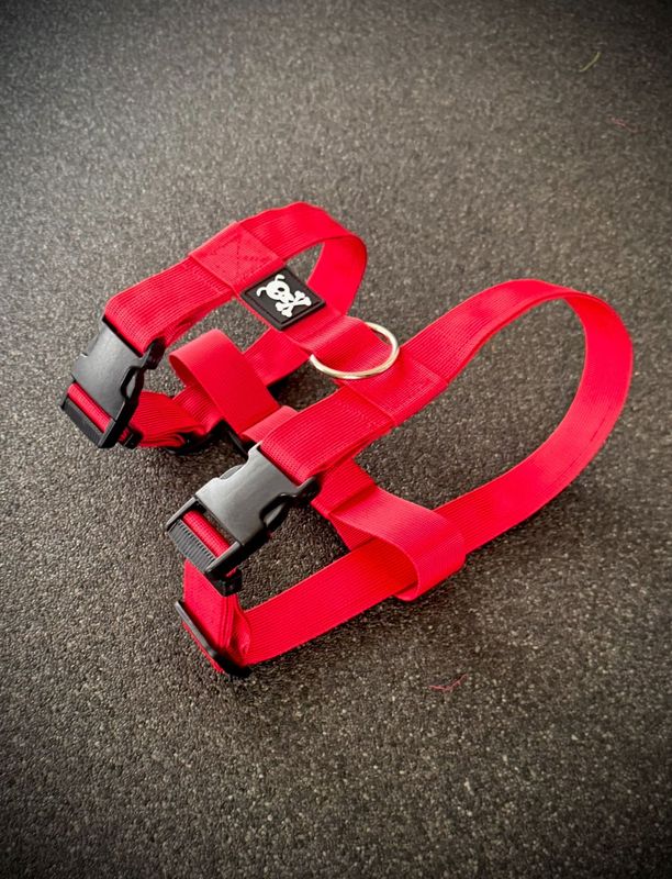 Puppypakket L/XL Red Velvet