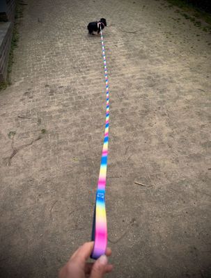 !NIEUW! Tiny 5 meter lijn