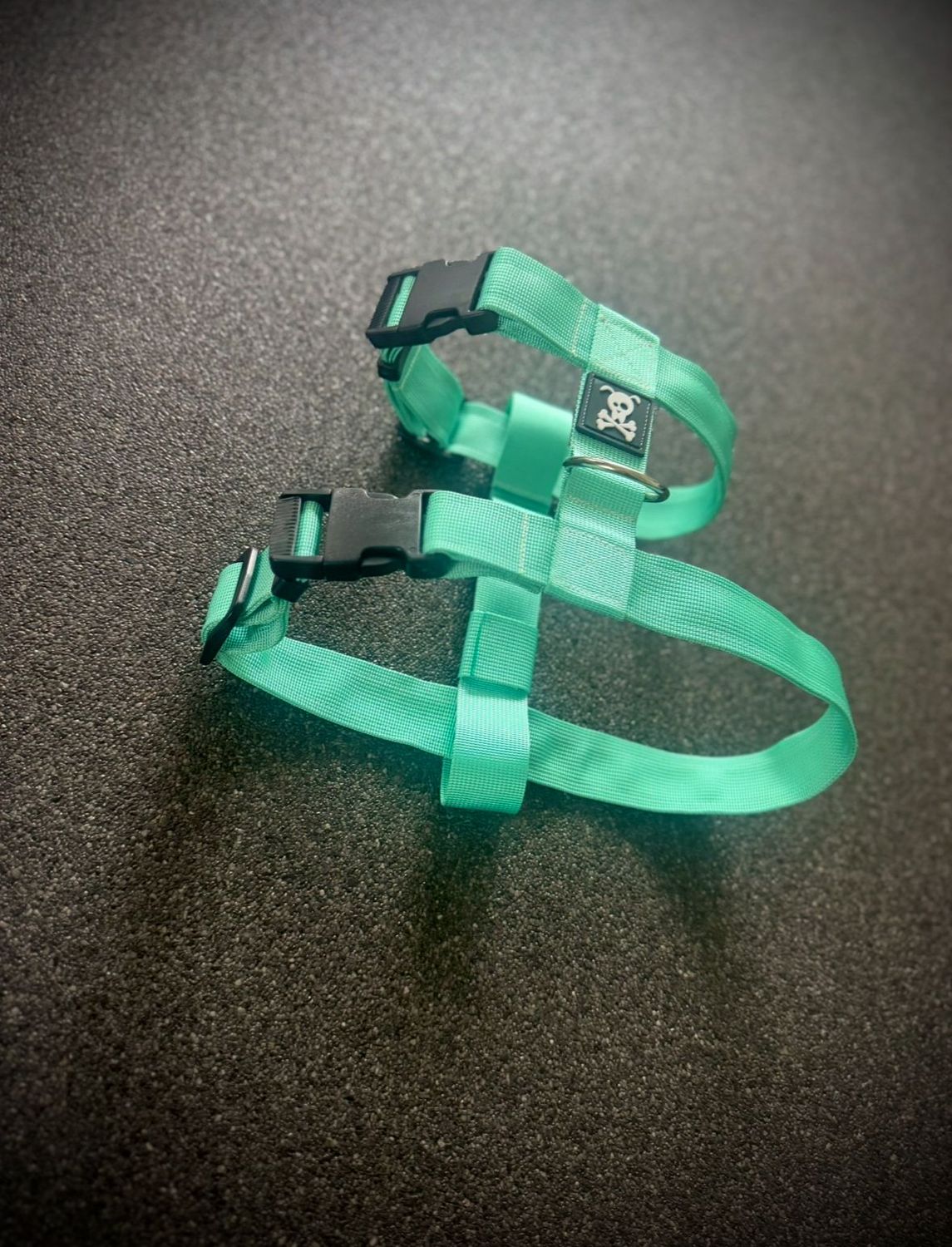 Puppypakket L/XL Minty Green
