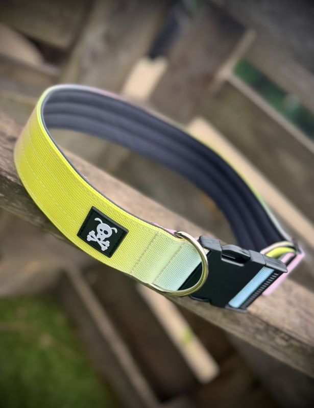 Halsband Cotton Candy maat XXL (enkel op bestelling)