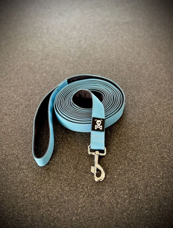 Lange 5M lijn Baby Blue
