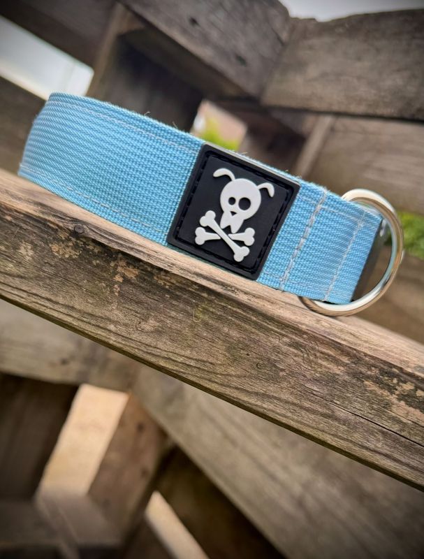 Halsband Baby Blue maat M