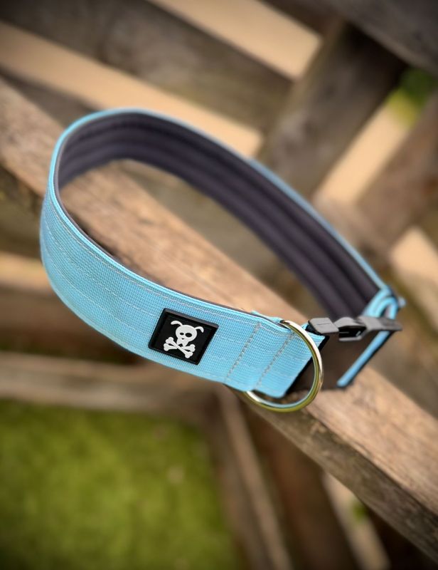 Halsband Baby Blue maat XXL (enkel op bestelling)