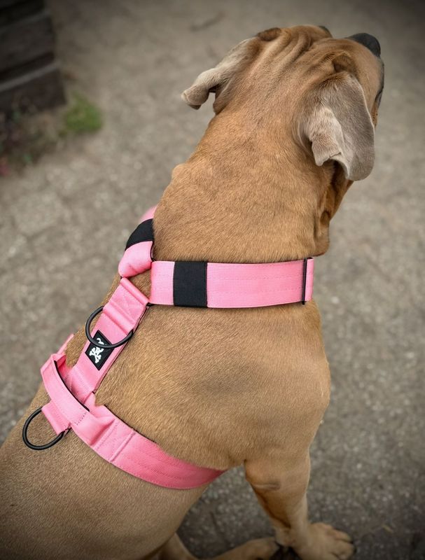 Harnas Baby Pink maat L
