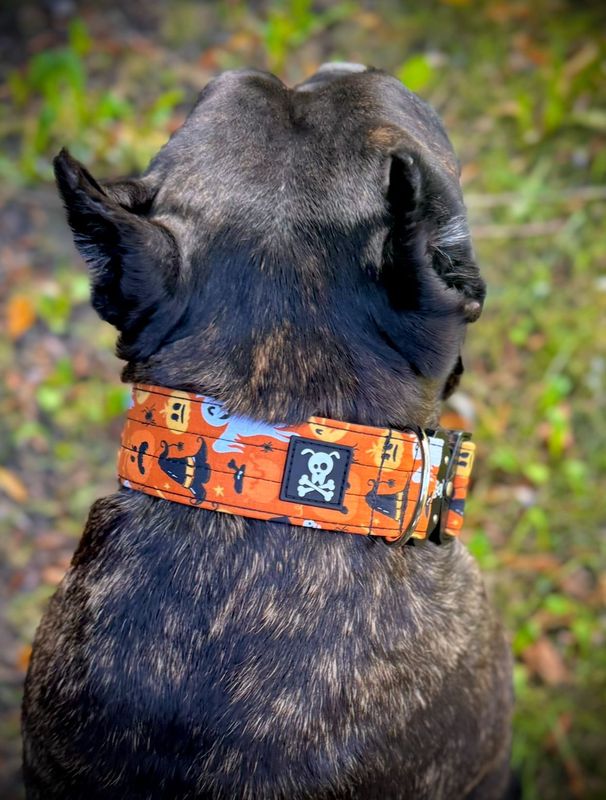 Halloween Orange halsband L