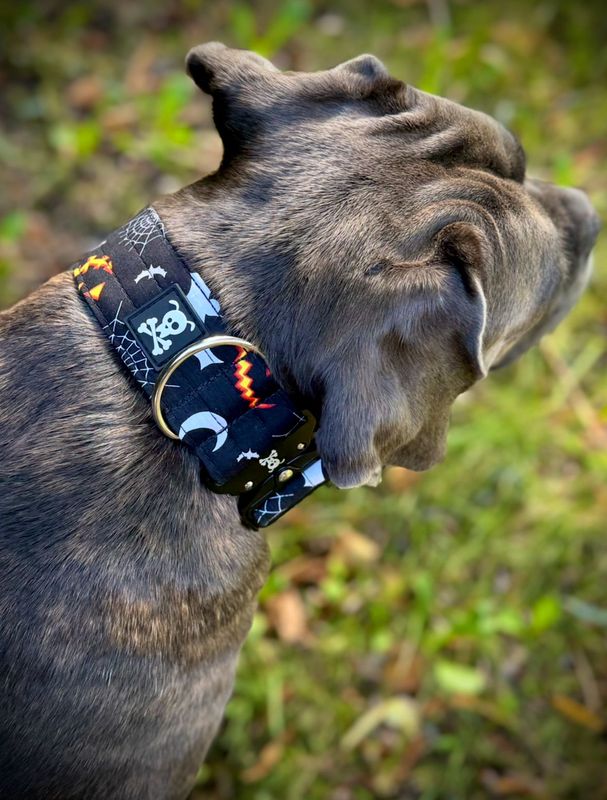 Halloween Black halsband XL