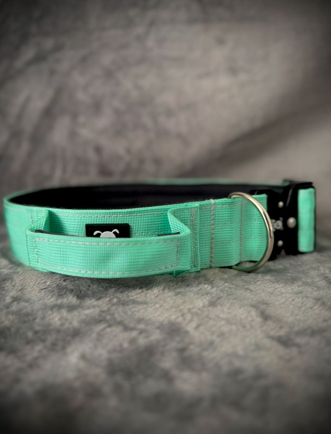 Halsband met handvat Minty Green L