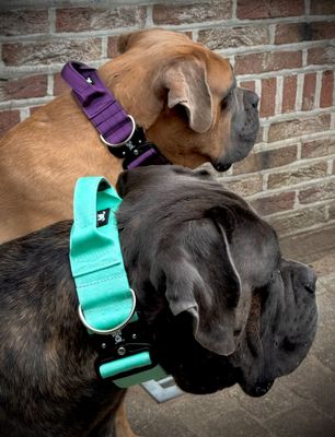 NEW VERSION NOW ONLINE! Skull Gear Halsband met handvat