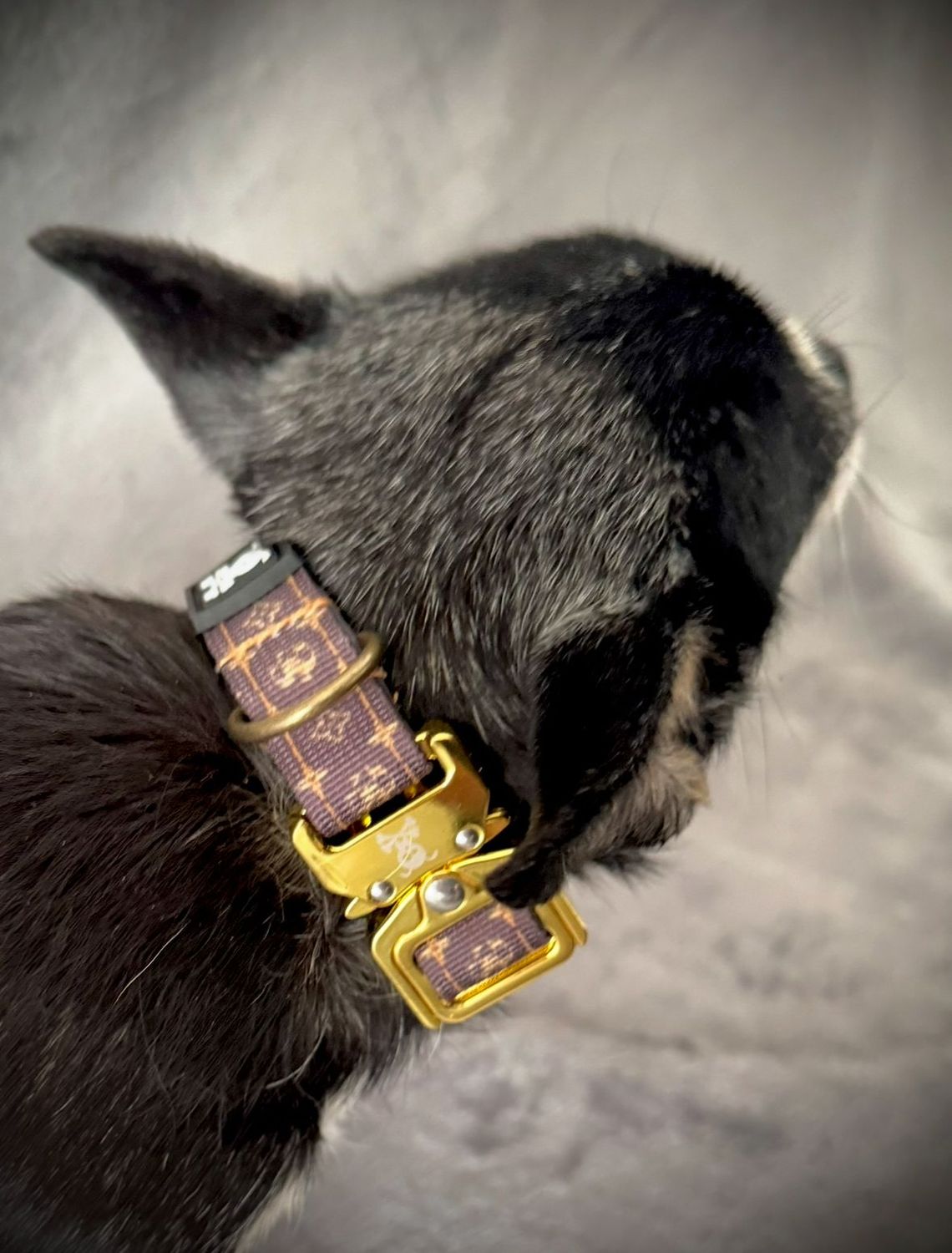 Halsband Deluxe Gold maat S