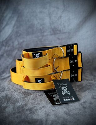 Sunshine Yellow